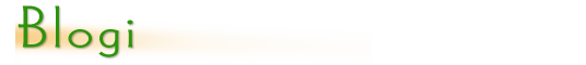 blogi